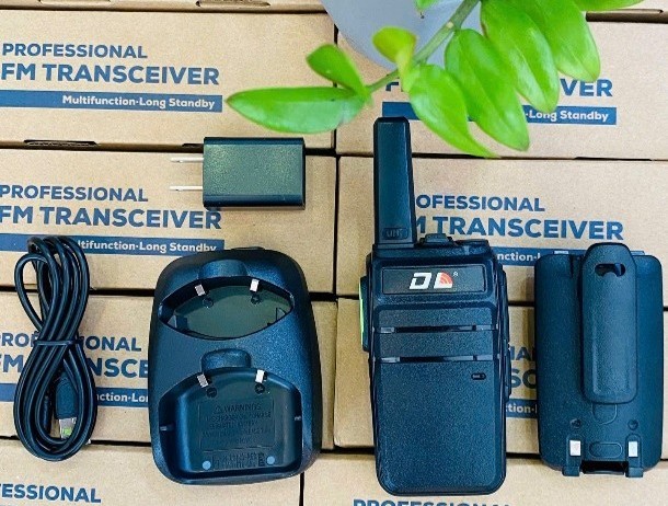 Kiểm tra giấy tờ pháp lý (CO, CQ và Chứng nhận Hợp quy)